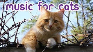 EXTREMELY Soothing Cat Therapy Music  Relax Your Cat [upl. by Walke924]