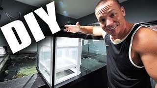 HOW TO Build a simple aquarium sump  The King of DIY [upl. by Samid]