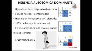 HERENCIA AUTOSÓMICA DOMINANTE Y RECESIVA [upl. by Ohs]