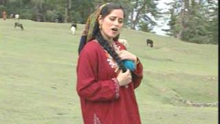 Gojri Song II Haaniya Pahari SongII Gojri Kashmiri Pahari Songs II Folk Songs of Jammu and Kashmir [upl. by Tebazile]