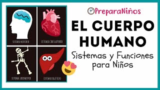 EL CUERPO HUMANO PARA NIÑOS DE PRIMARIA ⏰ PreparaNiñoscom [upl. by Eignat]