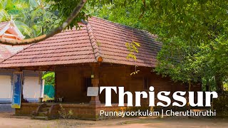 Thrissur Experiential Tour Package  Punnayoorkulam  Cheruthuruthi  Kerala Responsible Tourism [upl. by Joachima]