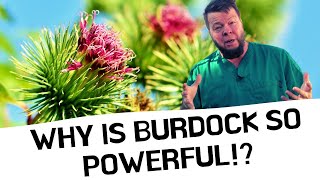 Burdock Cures EVERYTHING But Why [upl. by Ia49]