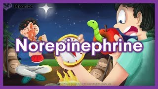 Norepinephrine Mnemonic for NCLEX  Nursing Pharmacology [upl. by Raymond304]