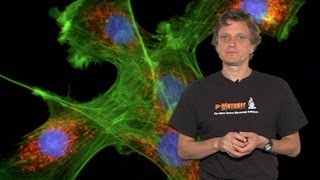 Microscopy Introduction to Fluorescence Microscopy Nico Stuurman [upl. by Ali]