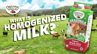 What is Homogenized milk  Ask Organic Valley [upl. by Jemie136]