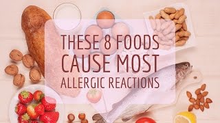 Food Allergy 101 Manage Egg Allergy  Egg Allergy Symptoms [upl. by Ilrebma]