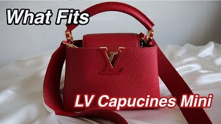 LV CAPUCINES MINI  WHAT FITS  BOHEMIANGIRL [upl. by Knorring]