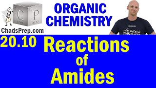 2010 Synthesis and Reactions of Amides  Organic Chemistry [upl. by Dobb20]