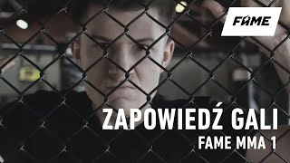 FAME MMA 1 YouTuberzy I Gwiazdy TV Zawalczą W Klatce [upl. by Kalindi]