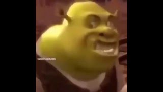 Shrek Slob on my Knob Vine [upl. by Leyameg]