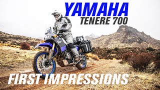 2021 Yamaha Ténéré 700  First Impressions [upl. by Oirotciv]