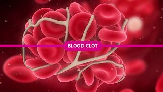 Coagulation Cascade Explained [upl. by Rahab]