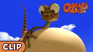 Oscars Oasis  Egg Bandit  HQ  Funny Cartoons [upl. by Bravar582]