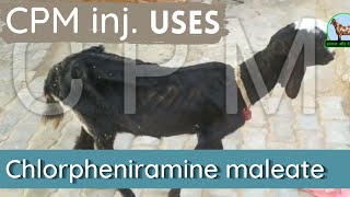 chlorpheniramine maleate [upl. by Eiramalegna]