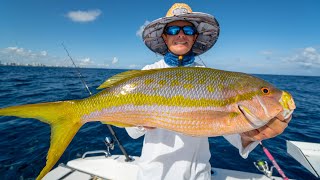 MONSTER Yellowtail Snapper Catch Clean Cook [upl. by Yl432]