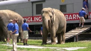 Ringling Brothers Circus Train and Animal Walk at Hershey [upl. by Nellak]