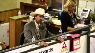 The Best Auctioneer  Rhett Parks [upl. by Dita676]