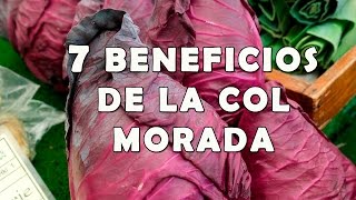 7 Increibles Beneficios de la Col Morada para la Salud [upl. by Sindee]