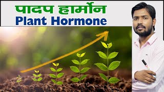 Plant Hormone  प्लांट हार्मोन  पादप हार्मोन क्या हैं  Types of Plant Hormones in Hindi [upl. by Ardekan493]