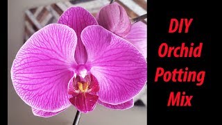 Homemade DIY Orchid Potting Mix 2019 [upl. by Etnahs]