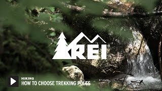 How to Choose Trekking Poles  REI [upl. by Naelopan960]