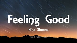 Nina Simone  Feeling Good Lyrics [upl. by Melli283]