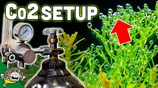 How To Set Up Aquarium Co2 System  The EASY Way [upl. by Richma]