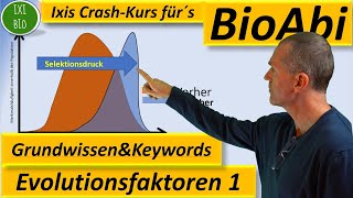 Evolution 1 Evolutionsfaktoren  Grundwissen  Übersicht  Training Wortschatz Keywords BioAbi [upl. by Aikrehs288]