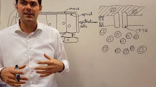 Function of CFTR [upl. by Harlan]