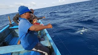 fishing for yellowfin tuna fish catching skills handline fishing video amazing fishing [upl. by Iolanthe]