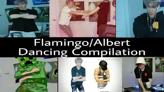 FlamingoAlbert Dancing Compilation [upl. by Koller]