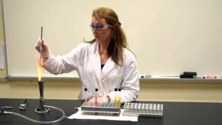 How to Inoculate amp Interpret a TSI Slant  MCCC Microbiology [upl. by Ilise656]