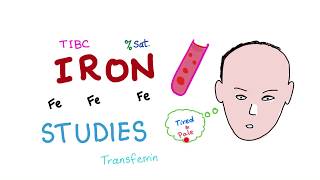 Iron Studies  Serum Fe TIBC ferritin amp Transferrin  Saturation [upl. by Lua]