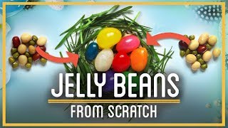 Can you turn BEANS into JELLYBEANS [upl. by Neelsaj]