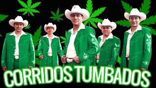 CORRIDOS TUMBADOS CORRIDOS MIX  LOS MÁS VISTOS DE CORRIDOS [upl. by Oriole]