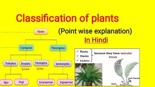 Classification of plants in Hindi  Cryptogam and Phanerogam plantclassification [upl. by Cannice382]