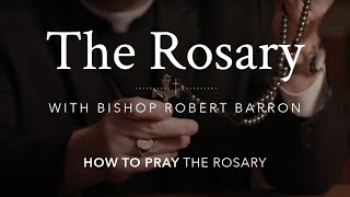 How to Pray the Rosary with Bishop Barron [upl. by Dusa21]