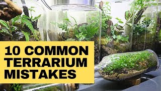 Closed terrarium mistakes and how to avoid them [upl. by Eisele]