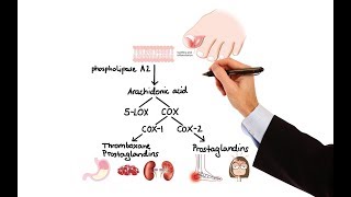 Pharmacology  NSAIDs amp PROSTAGLANDIN ANALOGS MADE EASY [upl. by Diane]