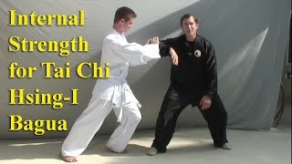 Internal Strength for HsingI Tai Chi Bagua Xingyi [upl. by Brigham618]