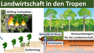 Landwirtschaft in den Tropen Zusammenfassung  Erdkunde Oberstufe Abitur [upl. by Arihaz]