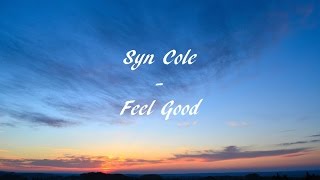 Syn Cole  Feel Good Lyrics [upl. by Ymereg]