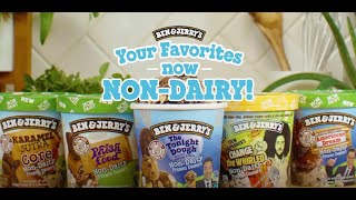 NEW NonDairy Flavors  Ben amp Jerrys [upl. by Lasley951]