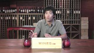 Tokaji Aszu  featuring Scott Ota for WInescom TV [upl. by Ayrad]