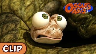 Oscars Oasis  Croc Food Hunt  HQ  Funny Cartoons [upl. by Hasina900]