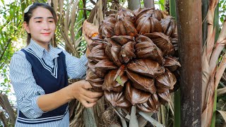 Bring nypa palm fruit home for sour curry  Nypa Fruticans harvesting  Fruit special sour curry [upl. by Nnylram857]