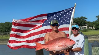 MONSTER Red Snapper Catch Clean Cook [upl. by Doro]