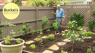 Burkes Backyard Dwarf Fruit Tree Makeover [upl. by Tildie]