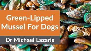 GreenLipped Mussel For Dogs [upl. by Krum]